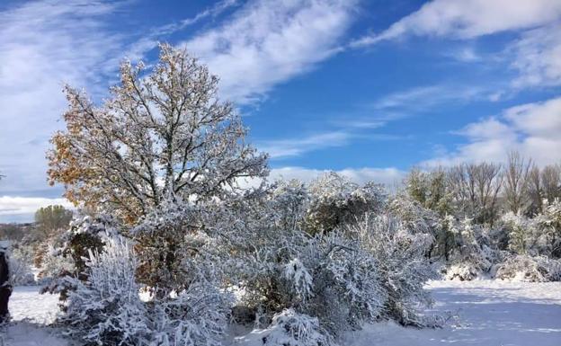 Aviso amarillo este lunes por nieve, fuertes vientos y lluvias en León, Burgos y Salamanca