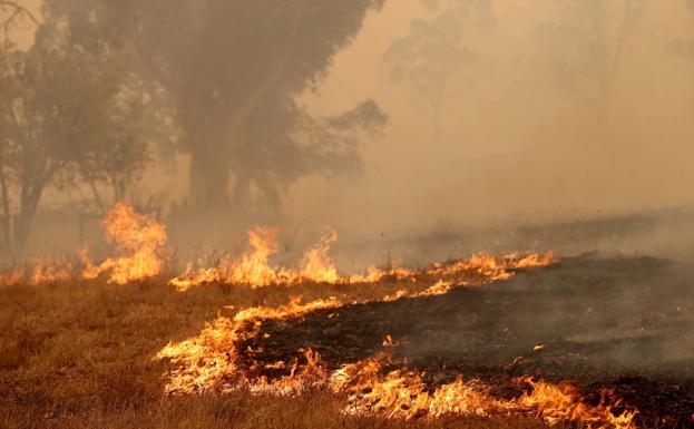 Los superincendios forestales arrojan a la atmósfera 19 veces el CO2 generado por España