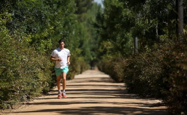 La actividad física reduce el riesgo de padecer siete tipos de cáncer