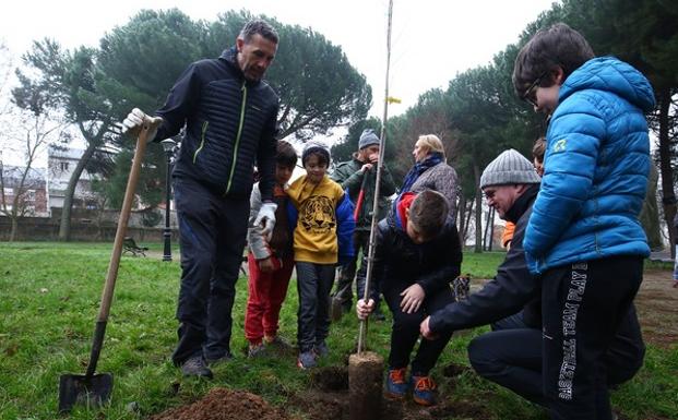 La Asociación A Morteira recupera la sombra de los negrillos para el parque de Cuatrovientos