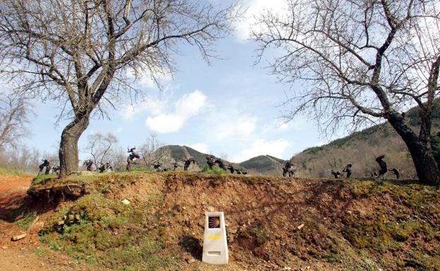 El Camino de Invierno a Santiago se presentará en Fitur 2020 en el stand de la Xunta de Galicia