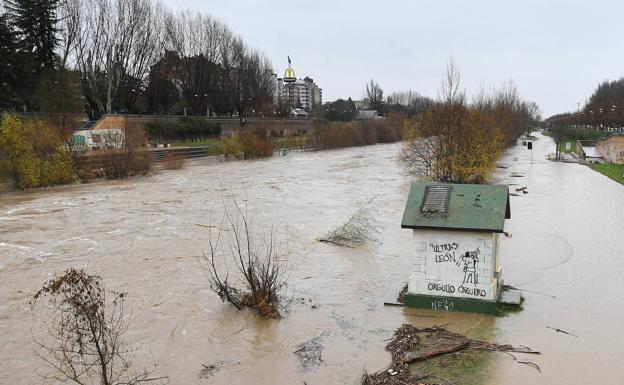 La Diputación presenta dos mociones para paliar los efectos del temporal en el campo leonés