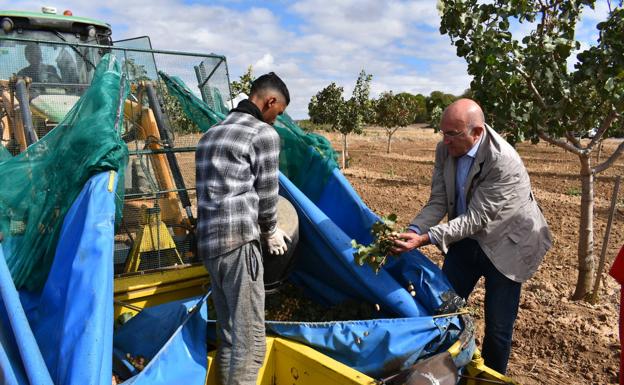 Los frutos secos se presentan como una gran alternativa de cultivo en la provincia con la nuez y la almendra a la cabeza