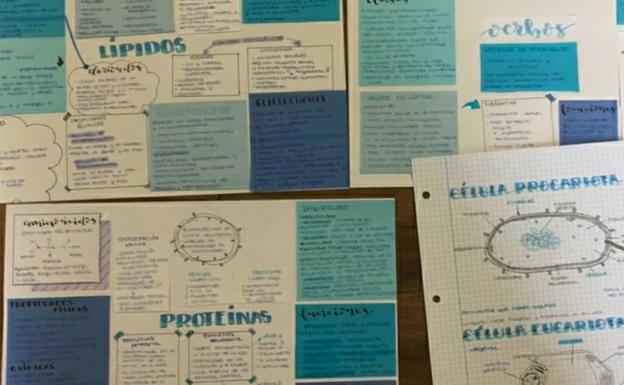 El Divina Pastora busca los apuntes 'más chulos'