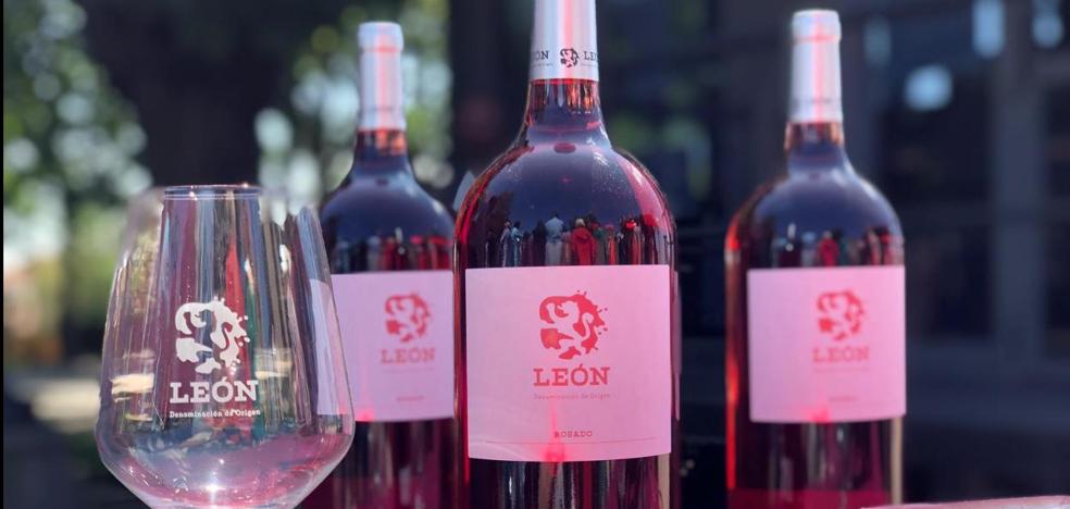 La producción de vino cae un 18,7% en Castilla y León, en una campaña irregular, con 1,8 millones de hectolitros