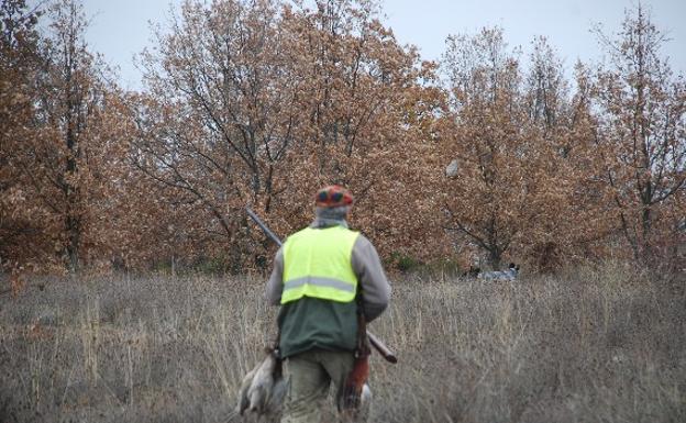Herido en un brazo una cazador por un disparo accidental en un coto de San Clemente de Valdueza