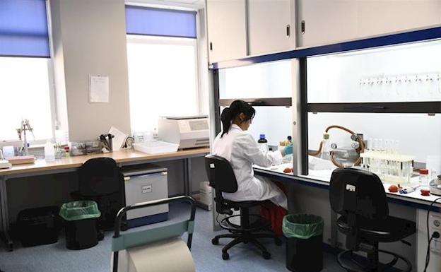 Científicos descubren cómo cambia el cerebro de una mujer cuando está embarazada