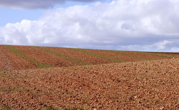 La concentración parcelaria exige nuevas referencias para la PAC en Santa Colomba de Somoza de forma excepcional en 2020