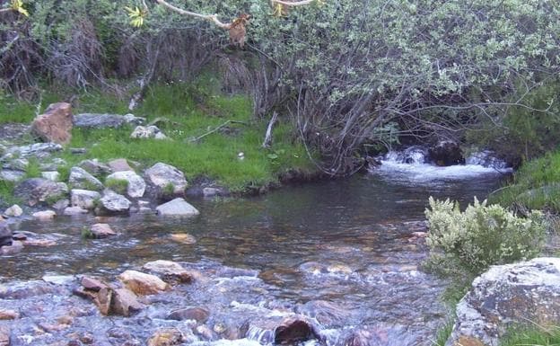 Ecologistas en Acción alerta de «emergencia climática» en la Reserva Natural Fluvial del Alto Duerna