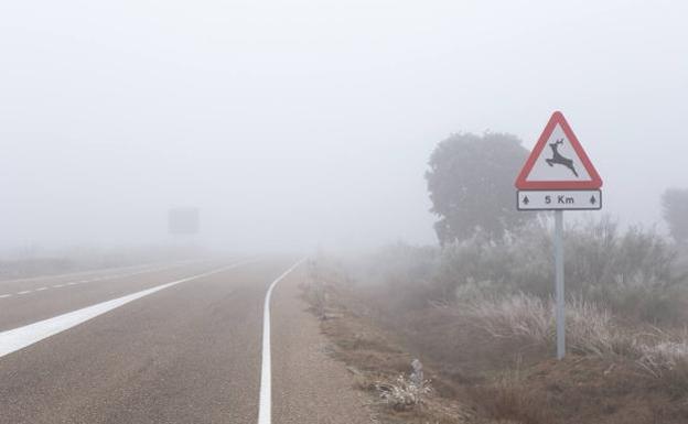 La niebla complica el tráfico en tramos de la red principal de carreteras de la provincia de León