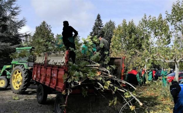 Alumnos de FP del Juan de la Enzina realizan sus prácticas en la Escuela de Agrícolas de la Ule