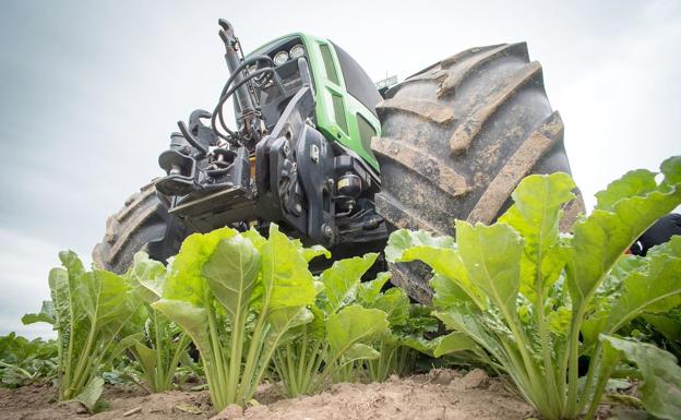 UCCL advierte a los cultivadores de remolacha de que «el único interés de British Sugar es hacer negocio»