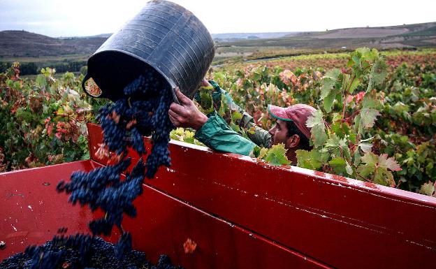 España desaprovecha el talento de la juventud de los inmigrantes