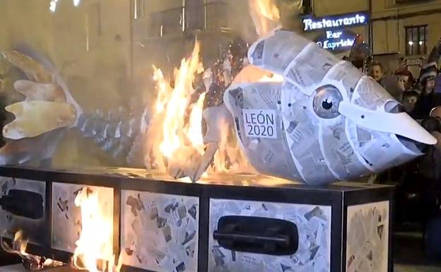 León llora por Doña Sardina