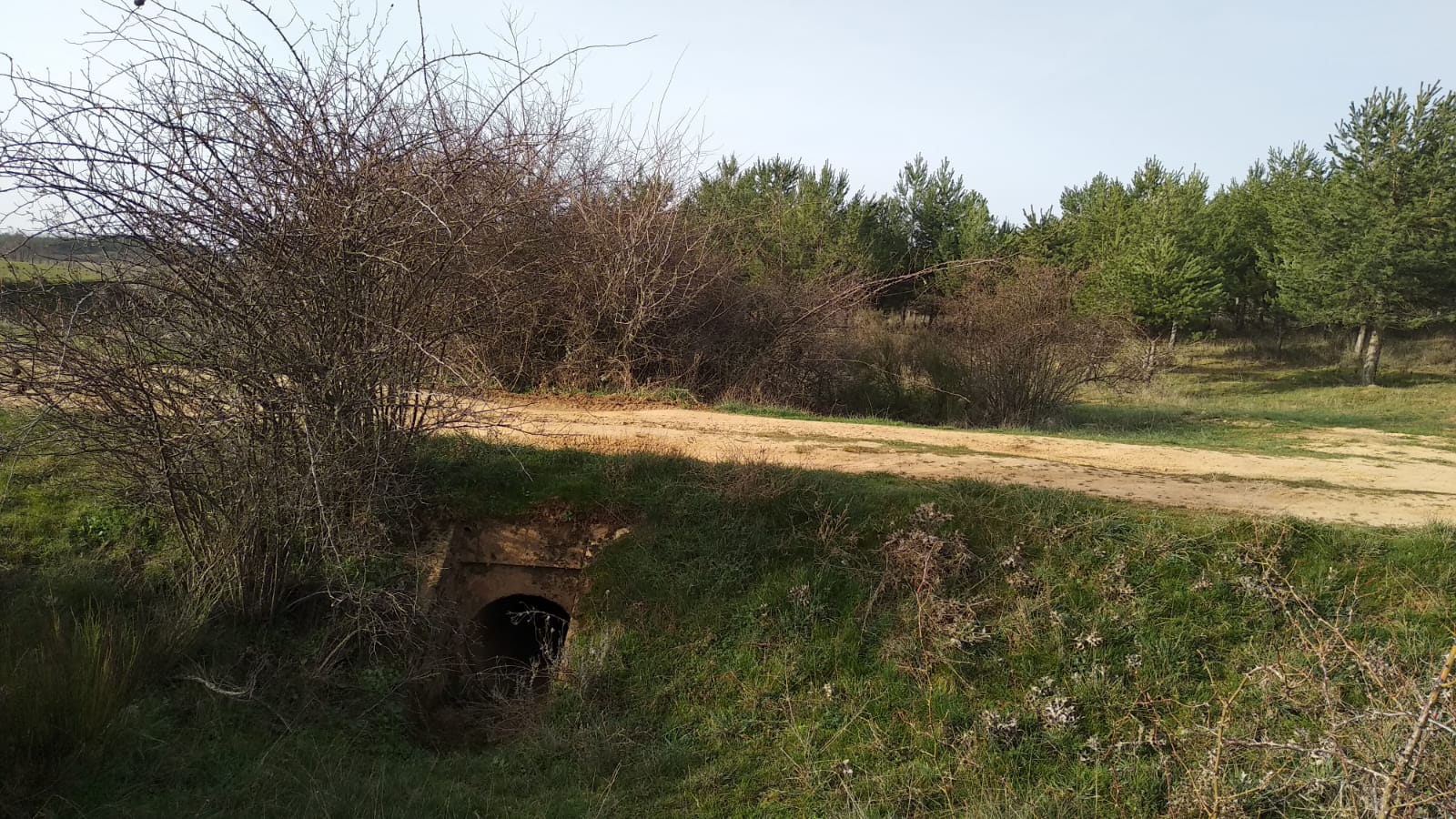 Crimen en Valdefresno