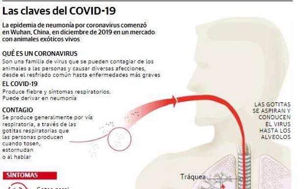 Así es la prueba que detecta el coronavirus