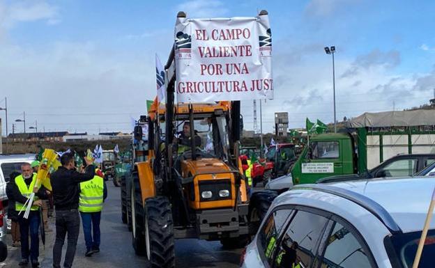 El PP de la Diputación pide una «acción coordinada» de todas las administraciones en pro del futuro del sector agroganadero