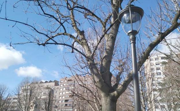 El PP denuncia la desaparición de otros 200 faroles de la ciudad