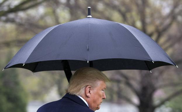 La campaña viral de Trump y Biden