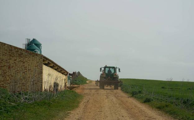 La Junta garantiza el apoyo y refuerzo de medidas al sector agrícola y ganadero para asegurar la cadena alimentaria