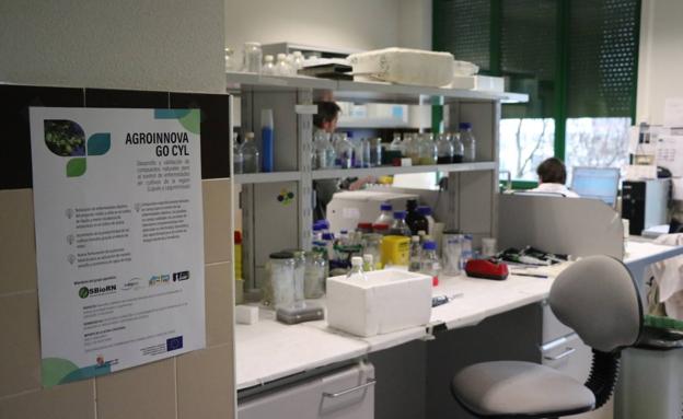 Los investigadores de Inbiotec denuncian que llevan tres meses sin cobrar y piden «liquidez»