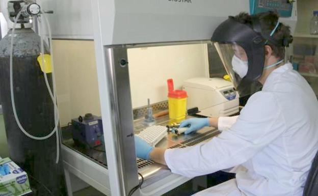 Los test de diagnóstico de coronavirus de la ULE «van adelante y a buena velocidad»
