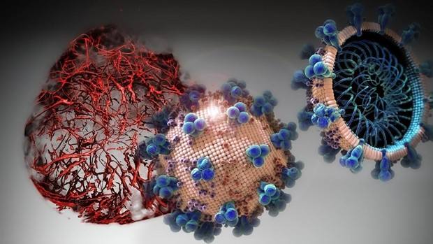 Investigadores españoles identifican un fármaco que bloquea los efectos del coronavirus