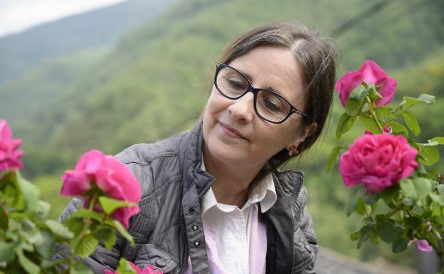 Recuperan una rosa asturiana con posibles aplicaciones comerciales