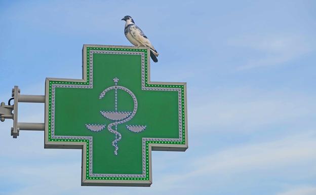 El Colegio de Farmacéuticos de León divulga información para resolver las dudas de la población sobre el coronavirus