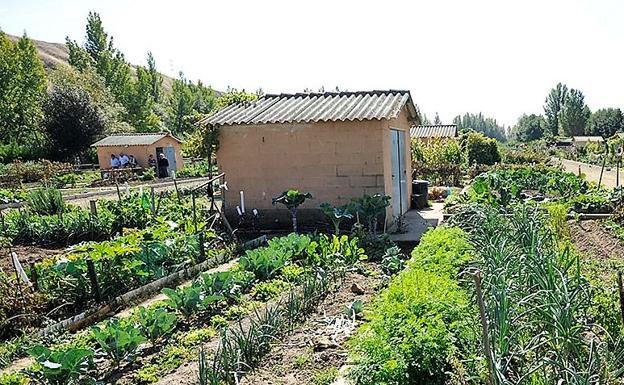 Los parlamentarios nacionales del PP piden a Sánchez que regule el acceso de los leoneses a sus huertos domésticos