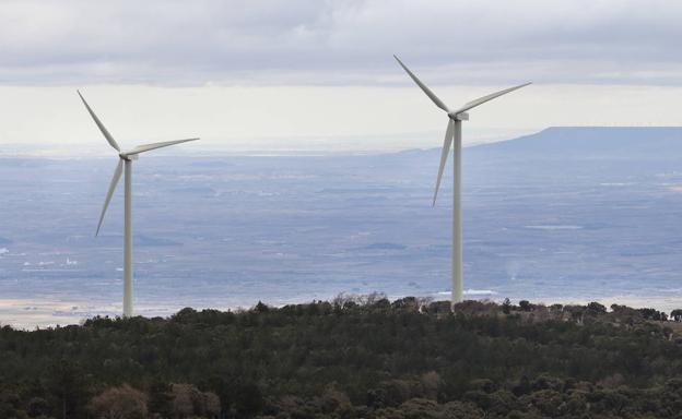 El interés de los españoles por el medio ambiente se dispara