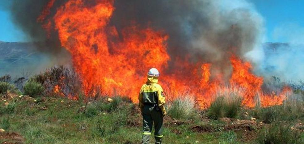 La superficie arbolada calcinada por incendios cae un 86% en 2020 sobre la media de la última década gracias a las lluvias