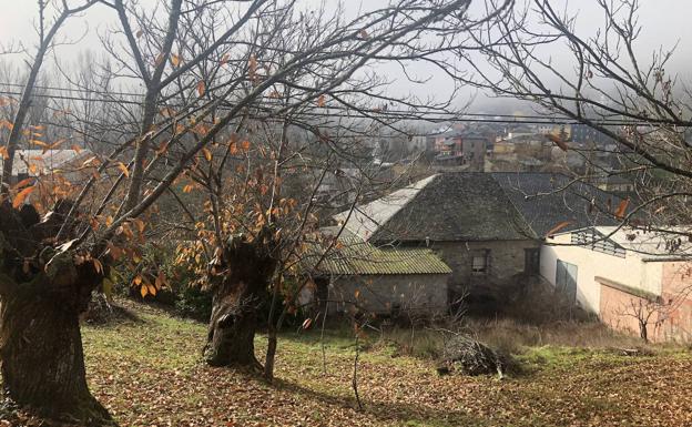La Diputación de León concurre a cinco proyectos europeos de desarrollo rural
