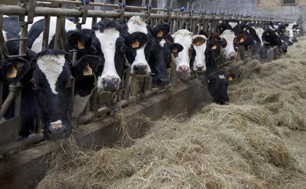 UCCL pide que se mantengan suspendidas las campañas de saneamiento ganadero durante el estado de alarma