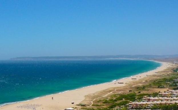 Los ecologistas denuncian la fumigación con lejía de una playa de Cádiz