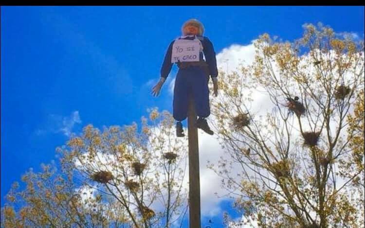Villadangos revive 'el mayo' desde el confinamiento