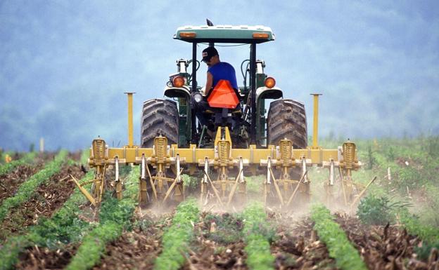 Castilla y León recibirá el 14,2% de los fondos para programas agrícolas, ganaderos y de desarrollo rural