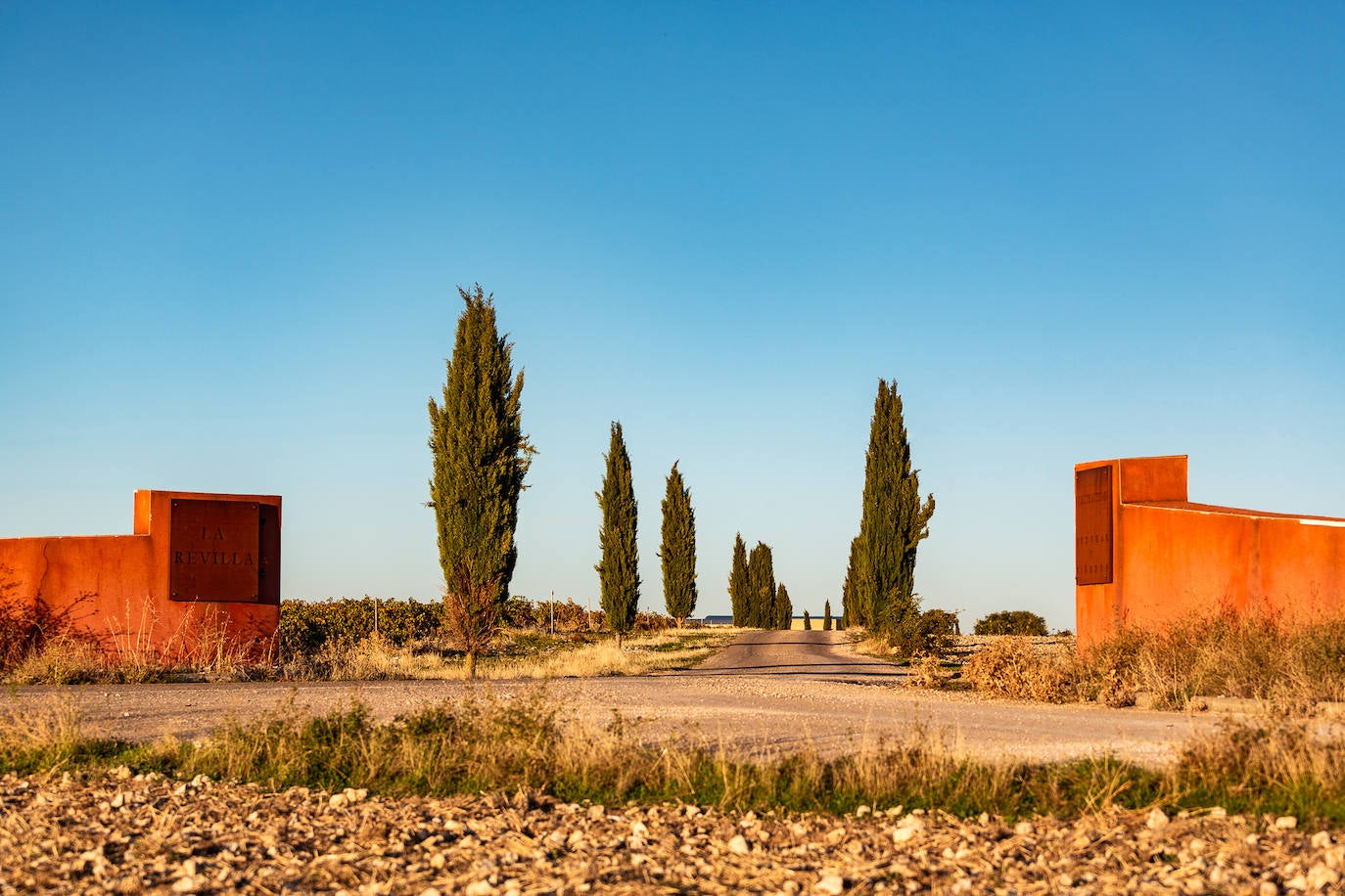 Una bodega dorada al sol