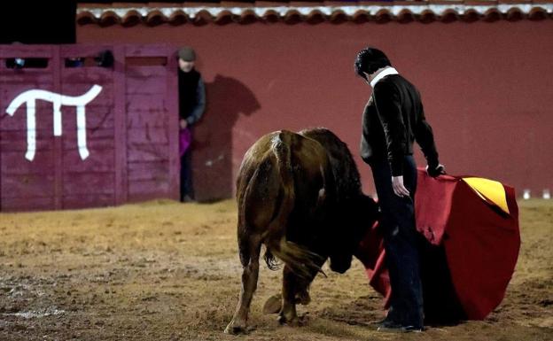 La ganadería 'El Pilar' de Salamanca homenajea a las víctimas del Covid-19 con su tentadero online 'haciendo la luna'