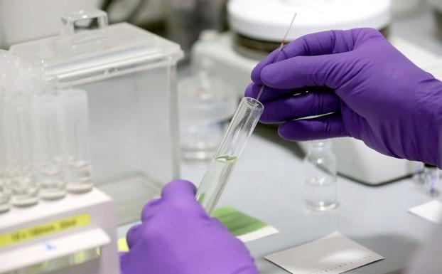 León alivia sus datos y suma 27 casos más, 15 confirmados por PCR, con un fallecido