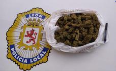 Identifican en León capital a un conductor que portaba una bolsa con 200 gramos de marihuana