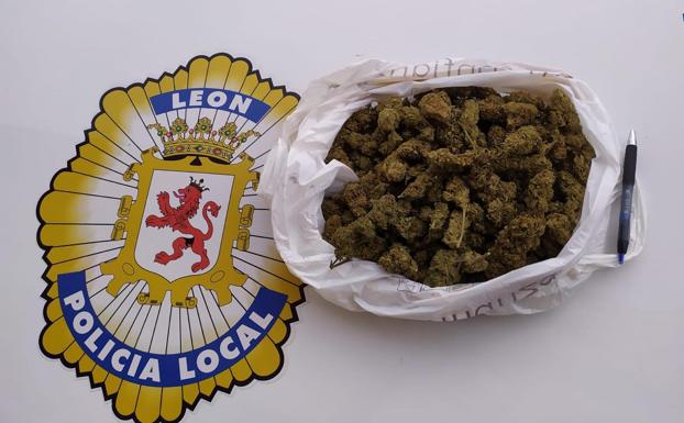Identifican en León capital a un conductor que portaba una bolsa con 200 gramos de marihuana