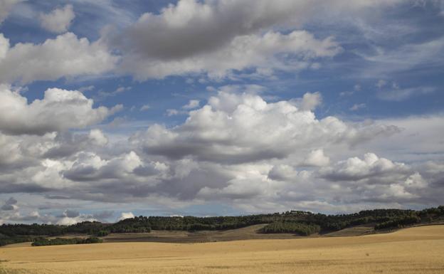 Un modelo matemático adaptado al cambio climático prevé que Castilla y León se asemeje a Andalucía en unas décadas