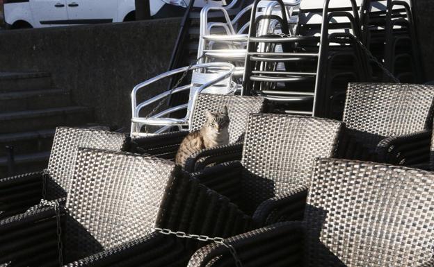 El Ayuntamiento de León dejará de ingresar más de 800.000 euros al suspender la tasa de terrazas