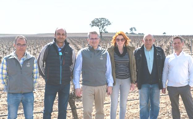 El Instituto del Vino participa en un proyecto de I+D para aumentar la longevidad del verdejo