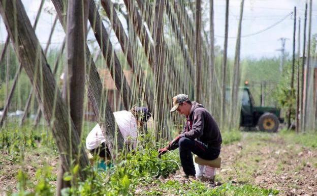 VOX pide al ministro de Agricultura que explique los recortes europeos de la PAC