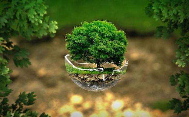Asociaciones ecologistas leonesas reclaman una #TransformaciónJusta con motivo del Día Mundial del Medio Ambiente