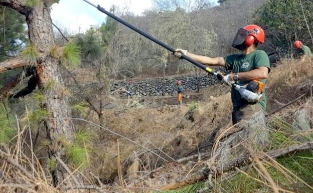 300.000 euros para tratamientos selvícolas preventivos de incendios en la provincia de León