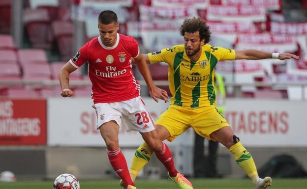 Heridos dos jugadores del Benfica tras ser atacado su autobús