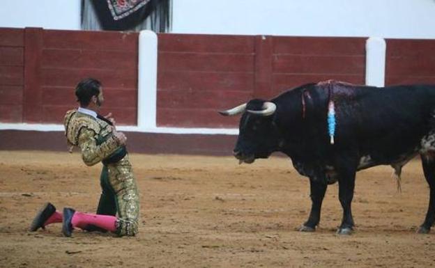 VOX León manifiesta «el apoyo y la defensa como cultura de la tauromaquia»